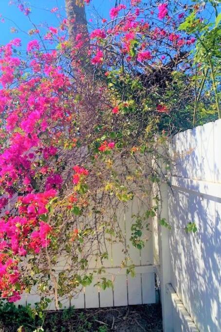 קוקו ביץ' Bright And Beachy 2Bed 1Bath Home - Unit 210 מראה חיצוני תמונה